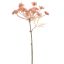 ANETHUM PICK 35CM PINK