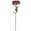 SINGLE SEDUM 46CM BURGUNDY