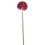 GIANT ALLIUM D19 H90CM BURGUNDY