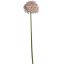GIANT ALLIUM D19 H90CM LILAC