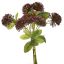 ALLIUM BUNDLE 34CM PURPLE