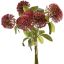 ALLIUM BUNDLE 34CM RED