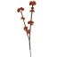 WILD SEDUM X2 SPRAY 57CM ORANGE