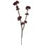 WILD SEDUM X2 SPRAY 57CM BURGUNDY