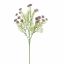 ANETHUM 60CM LAVENDER
