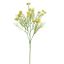 ANETHUM 60CM YELLOW