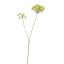 LARGE ANETHUM 105CM YELLOW