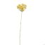 WHITEWASH ANETHUM 72CM YELLOW