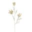WHITEWASH ANETHUM 83CM PINK