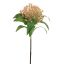 ALLIUM BALL 55CM SALMON