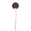 ALLIUM FLOWER 89CM PURPLE