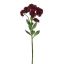 GARDEN SEDUM 57CM PURPLE