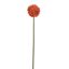 ALLIUM 75CM CORAL