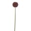 ALLIUM 75CM PURPLE