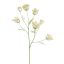 ANETHUM SPRAY 107CM PEACH