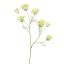 ANETHUM SPRAY 107CM YELLOW