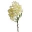 ASTIBLE SPRAY 72CM CREAM