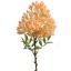 ASTIBLE SPRAY 72CM YELLOW