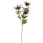 WILD SEA HOLLY SPRAY X 3 67CM PURPLE