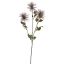 THISTLE SPRAY X 3 78CM BURGUNDY