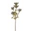 KANGAROO FEET SPRAY 53CM LAVENDER