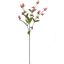 GLOBOSA SPRAY 68CM PINK