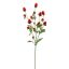 GLOBOSA SPRAY 68CM RED
