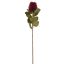 BANKSIA SPRAY 59CM BURGUNDY