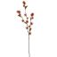 XANTHIUM X3 SPRAY 101CM ORANGE