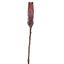 PROTEA 53CM BURGUNDY