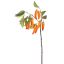 SMALL PEPPER SPRAY 50CM ORANGE