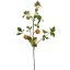 ORANGE BRANCH 104CM ORANGE