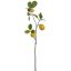 LEMON BRANCH 68CM YELLOW