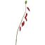 SMALL PEPPER BRANCH 70CM RED