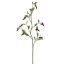 LARGE PEPPER BRANCH 105CM RED