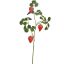 STRAWBERRY SPRAY 68CM RED