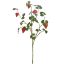 LARGE STRAWBERRY SPRAY 97CM RED
