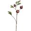 MEGRANATE SPRAY 70CM PURPLE