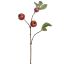 MEGRANATE SPRAY 70CM RED