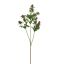 ASIAN THISTLE 61CM MAUVE
