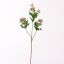 ASIAN THISTLE 61CM PINK