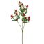ASIAN THISTLE 61CM RED
