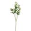 ASIAN THISTLE 61CM WHITE