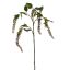 PHYTOLACCA AMERICANA SPRAY 97 CM GREEN