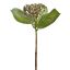 SHORTSTEM BERRY GREEN