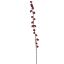 CALLICARPA SPRAY 105CM RED
