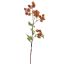 MULBERRY SPRAY 78CM ORANGE
