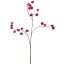 WAXBERRY SPRAY X3 FUCHSIA