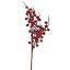BERRY SPRAY X 2 42CM RED