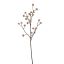 CALICARPA SPRAY 110CM PINK